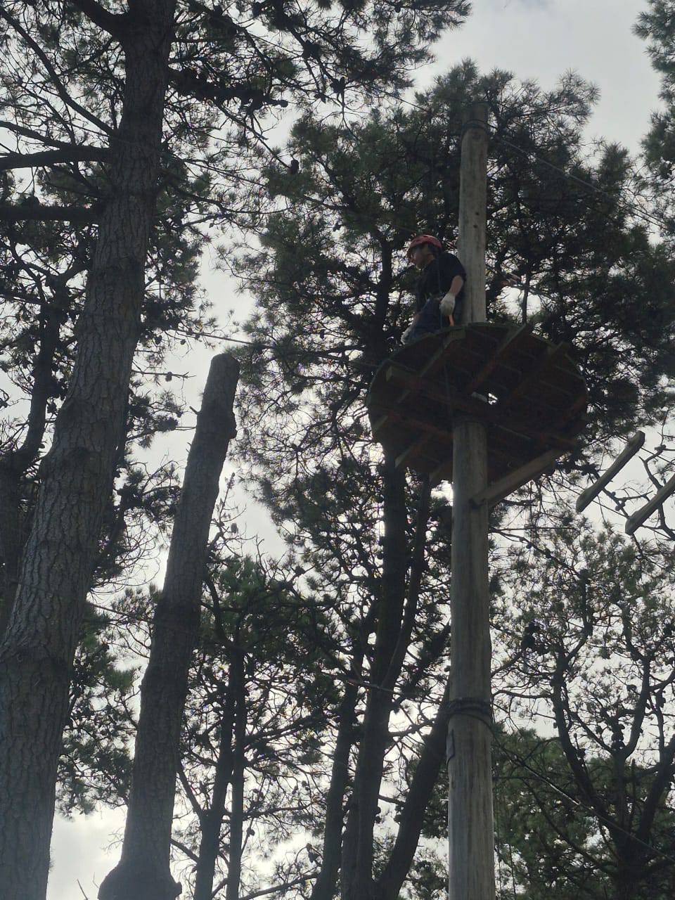 Perfil de David Pérez